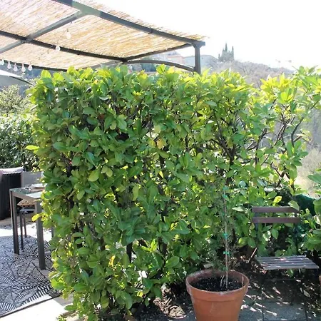 2 Pieces + Terrasse Entoure De Verdure Apartment *